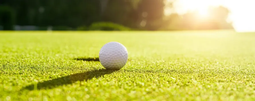 Golf Chauffeur Service