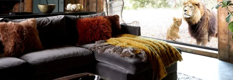 A luxury Manner Borne Mercedes-Benz vehicle providing a premium chauffeur service for guests visiting the Port Lympne Hotel and Reserve in Kent.