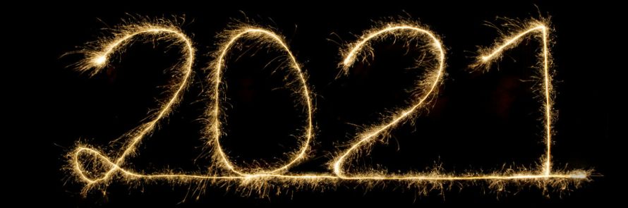 Manner Borne wish you a Happy New Year 2021
