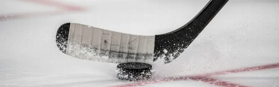 manchester storm chauffeur service ao arena 1920x600